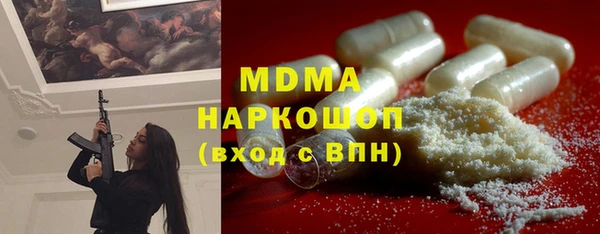 хмурый Арсеньев