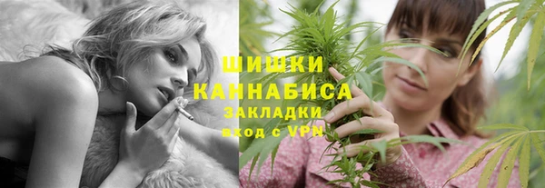 хмурый Арсеньев