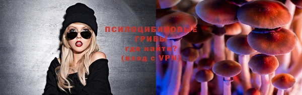 метадон Армянск