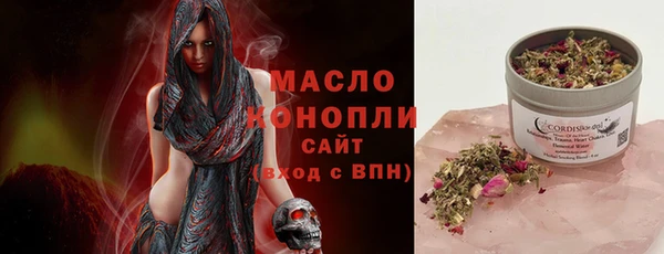 хмурый Арсеньев
