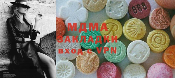 хмурый Арсеньев