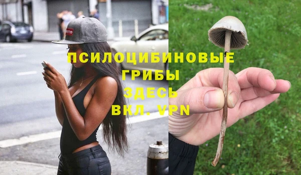 хмурый Арсеньев