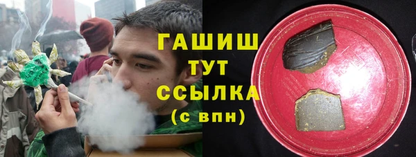 хмурый Арсеньев