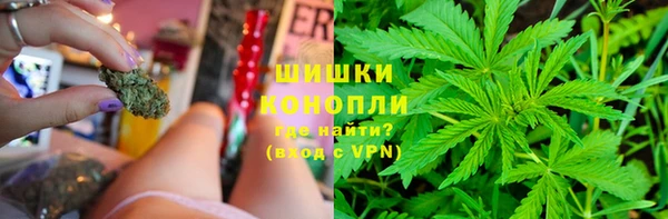 хмурый Арсеньев
