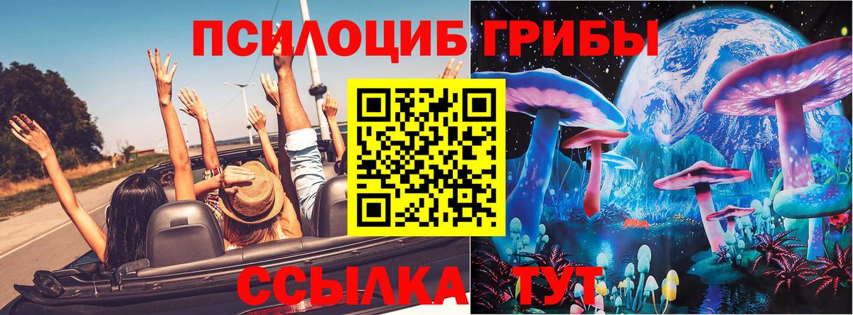 Галлюциногенные грибы мухоморы Жуковский